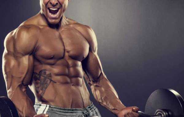 Looking for the Best Bulking Cycle or Cutting Cycle? Know this First!